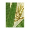 Trademark Fine Art Pablo Esteban 'Tall Wide Palm' Canvas Art, 18x24 ALI45164-C1824GG